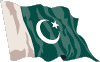 pakistani Flag